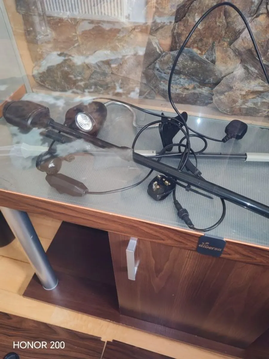 Aquarium  Fish Tank Setup 350 Euro - Image 4