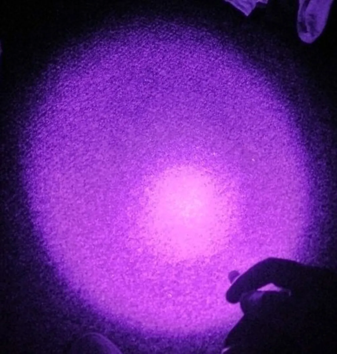 UV Flashlight 365nm Ultraviolet Torch - Image 2