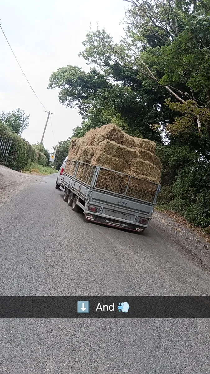 Silage bales and small square hay bales - Image 3