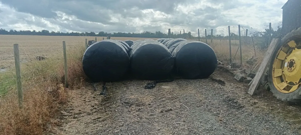 Silage bales and small square hay bales - Image 1