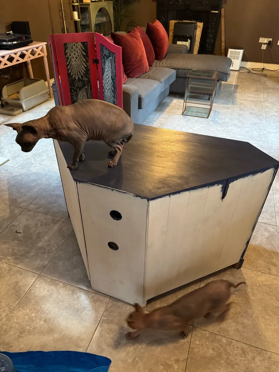 [FREE] Solid Wood Corner TV Unit - Image 3