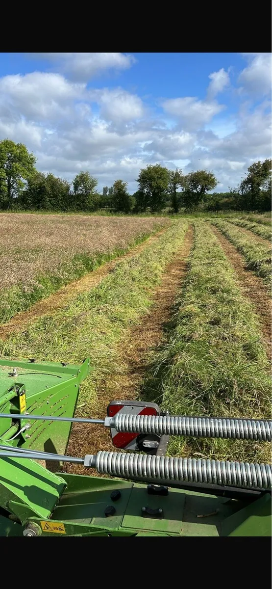 Organic hay, haylage , silage - Image 4