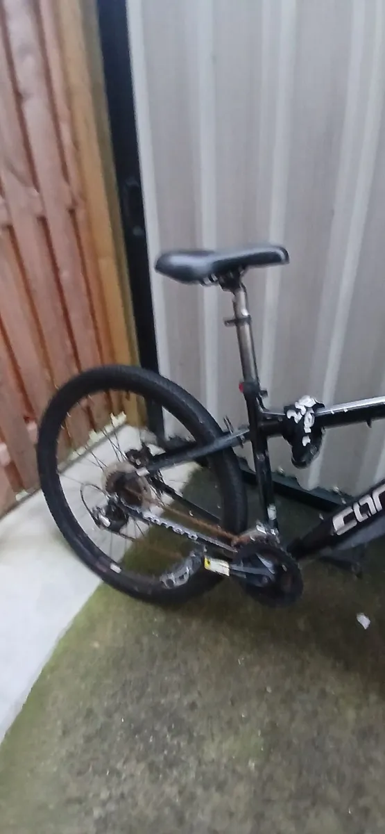 Bike - Image 4