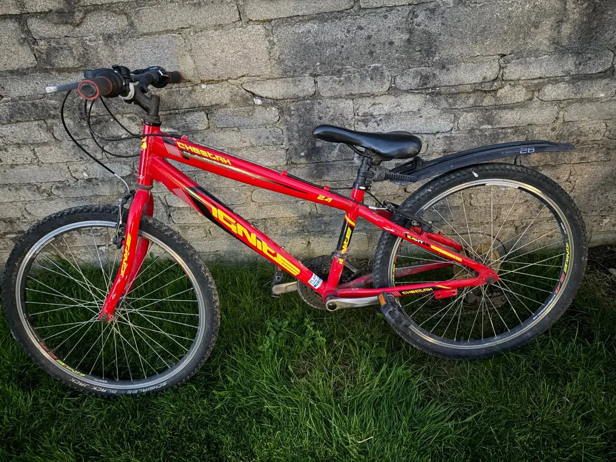 Boys  24 inch bike - Image 2