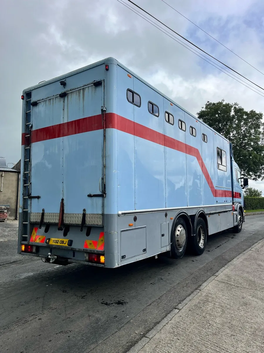 Scania 114 horse box - Image 3