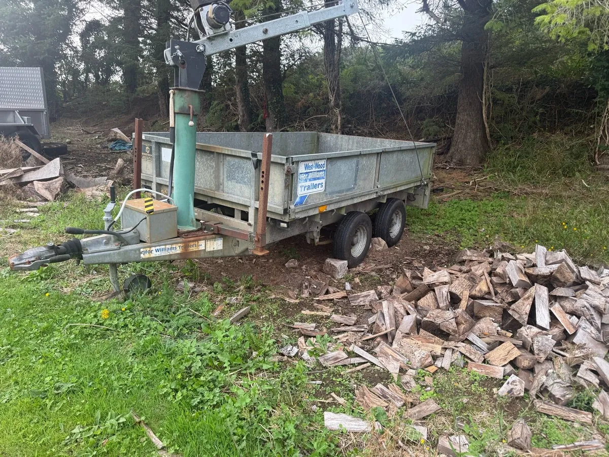 Ifor Williams trailer - Image 3