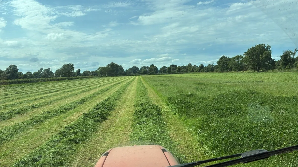 Silage meddow for sale