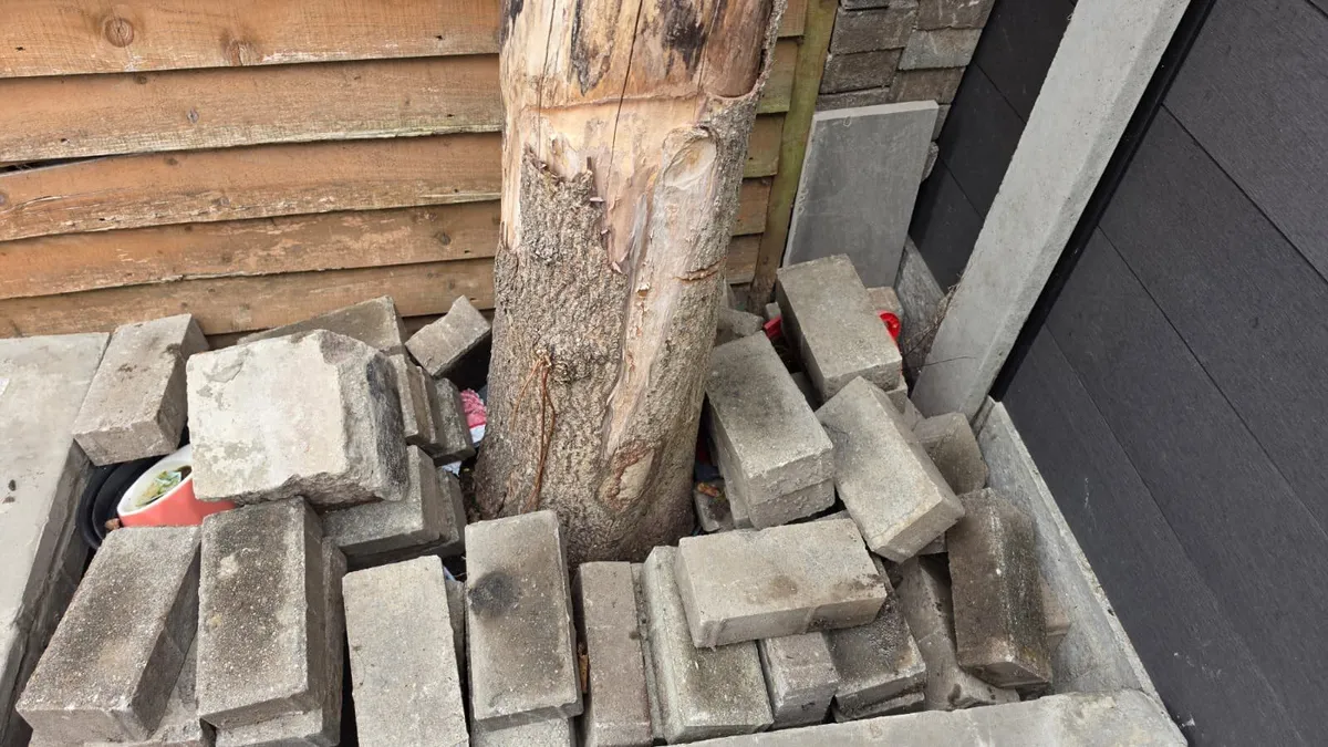 Bricks and Pavement - Image 2