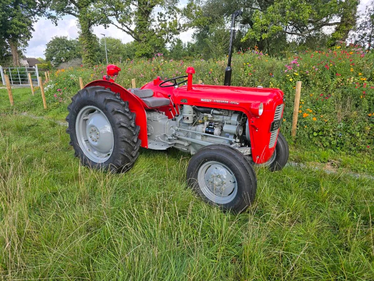 Massey 35x mint vintage tractor fully restored - Image 1