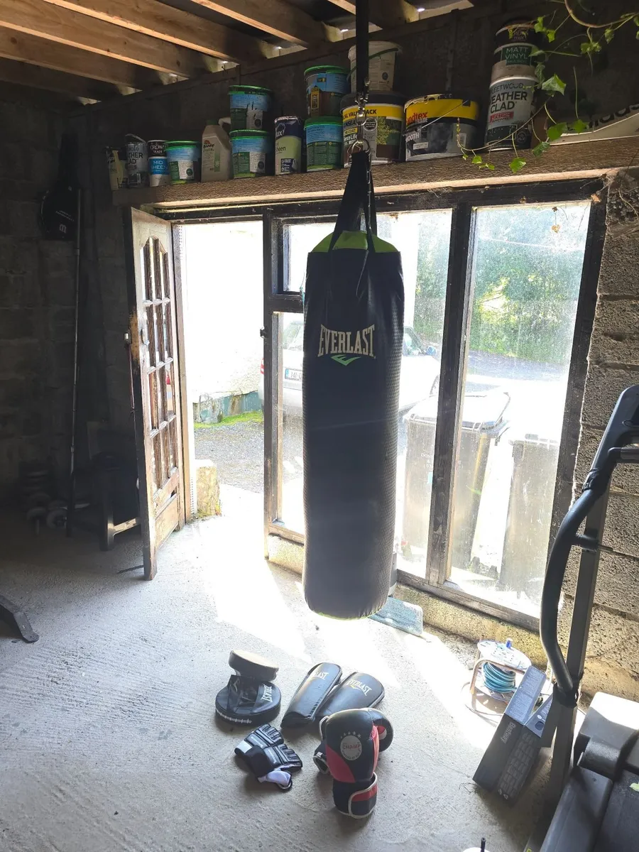 Punch bag boxing with mounting bracket and gloves
