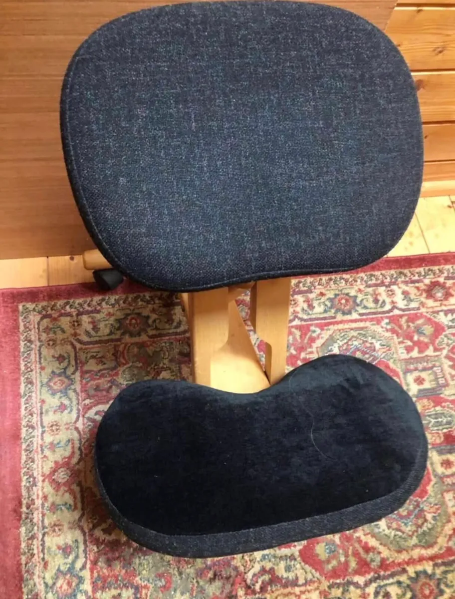 Back support office chair - Image 1