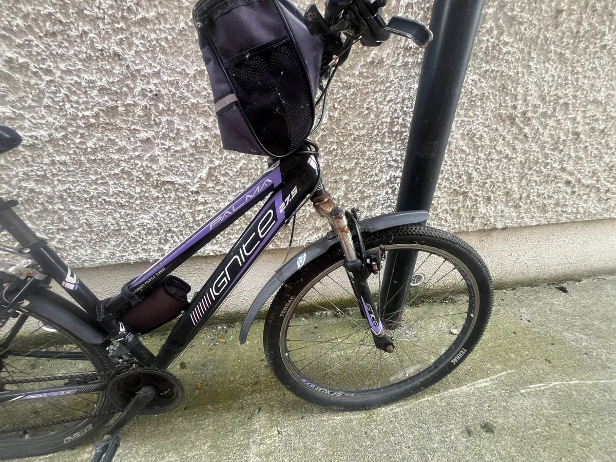Free bikes - Image 1