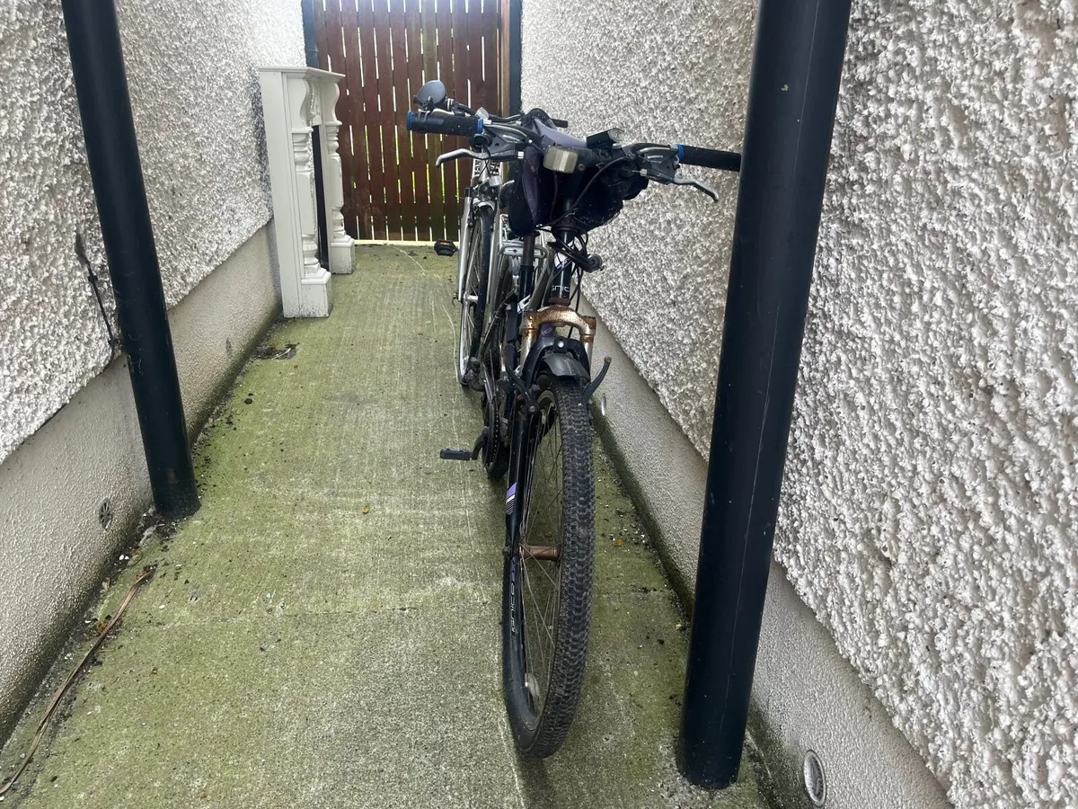 Free bikes - Image 2