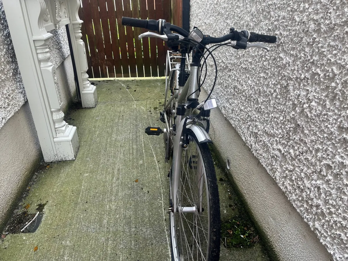 Free bikes - Image 4