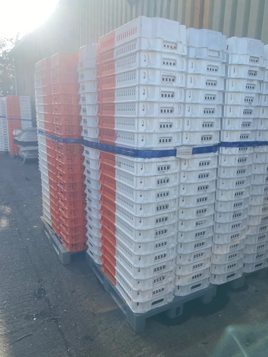 Storage boxes  crates - Image 3