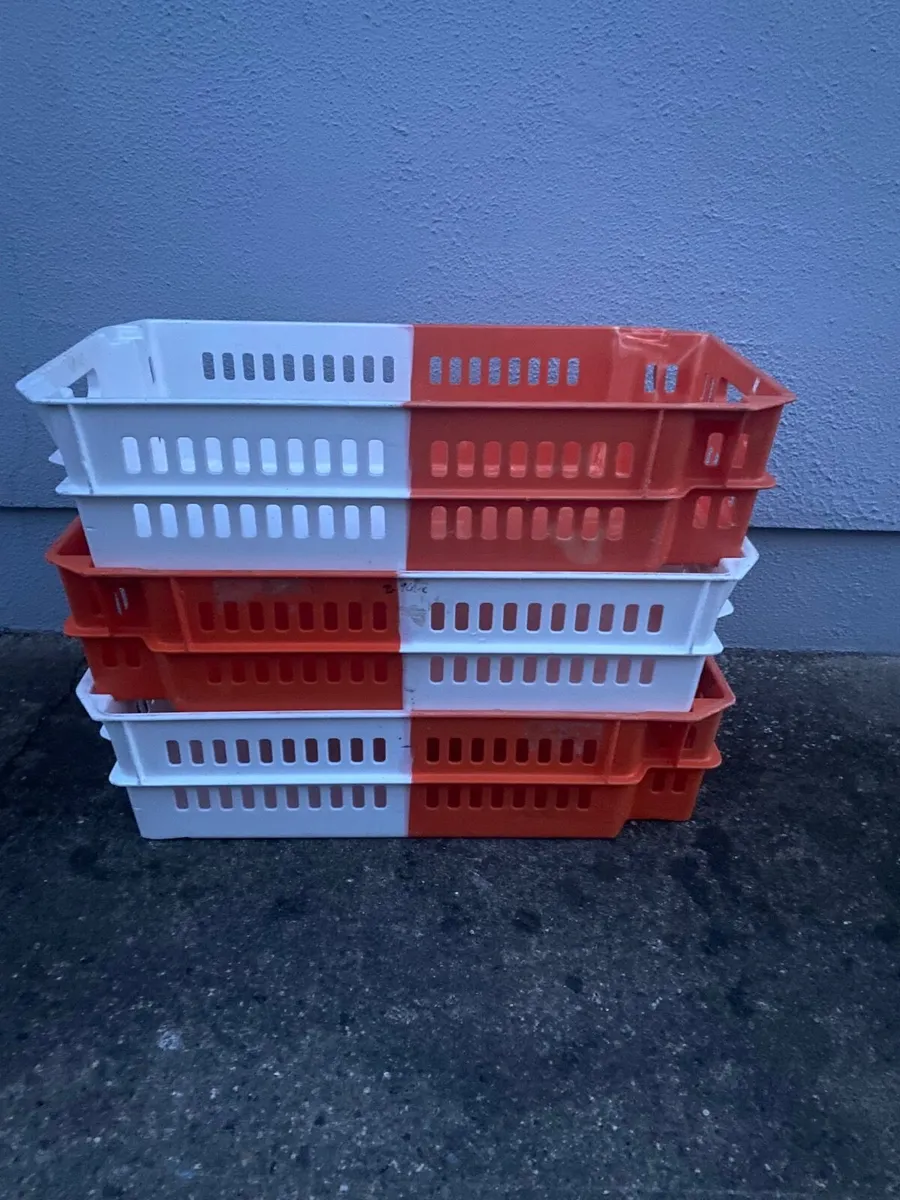 Storage boxes  crates - Image 4