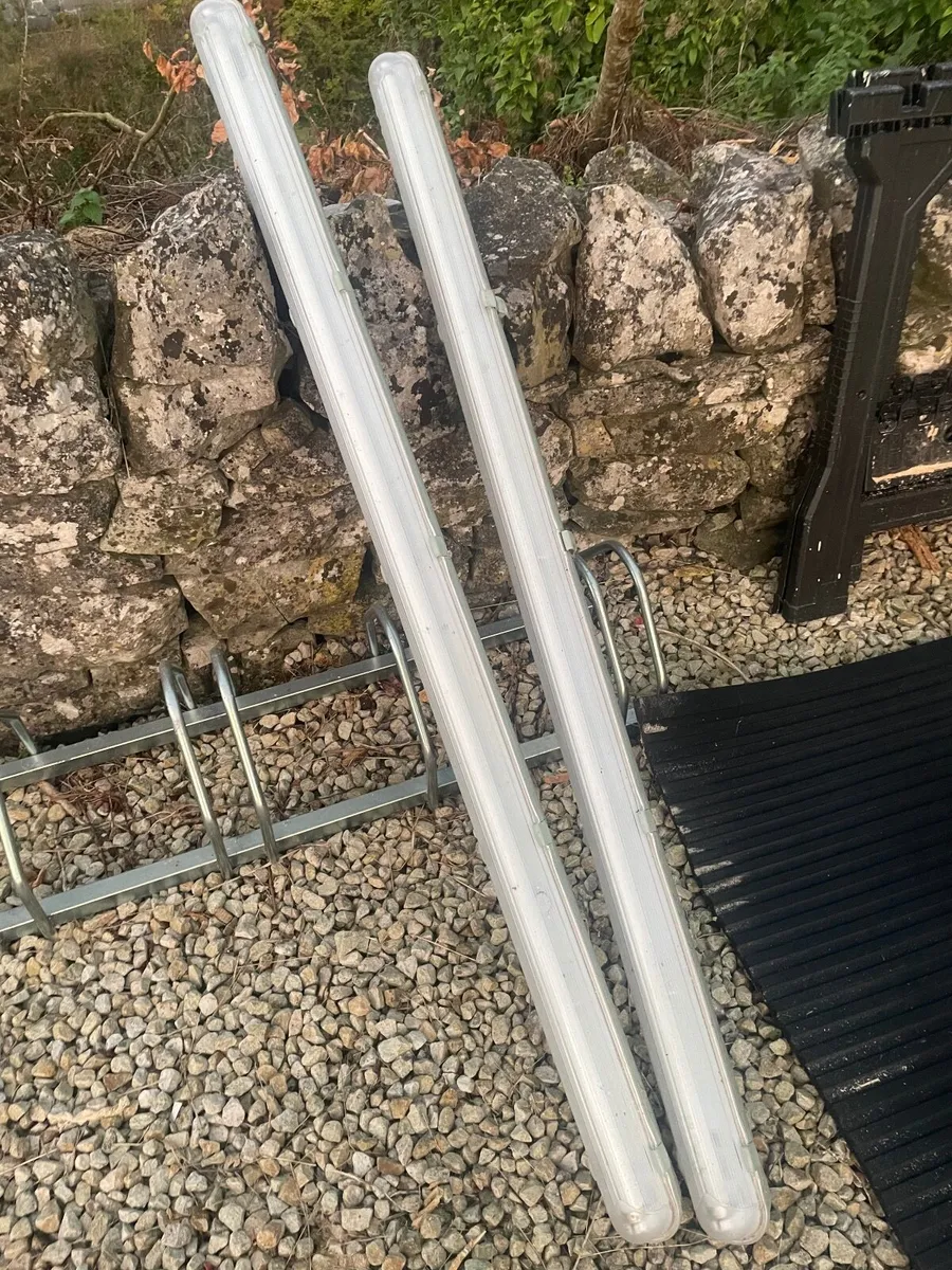 5 ft baton Lights and bulbs