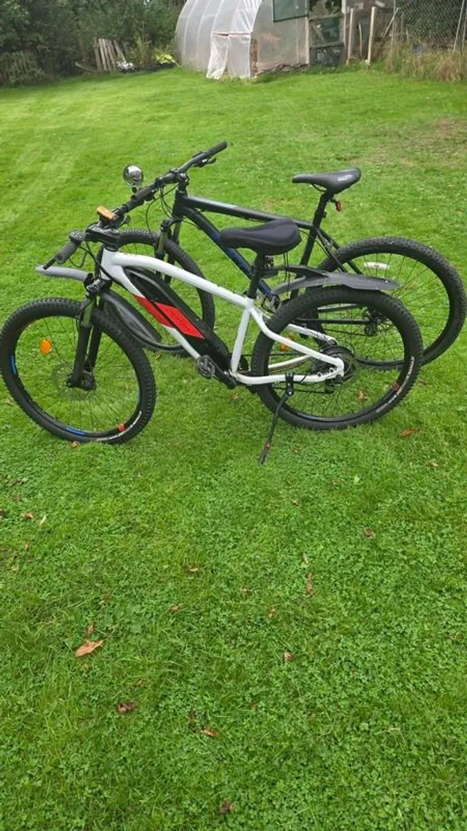 Bike and electric bike - Image 1