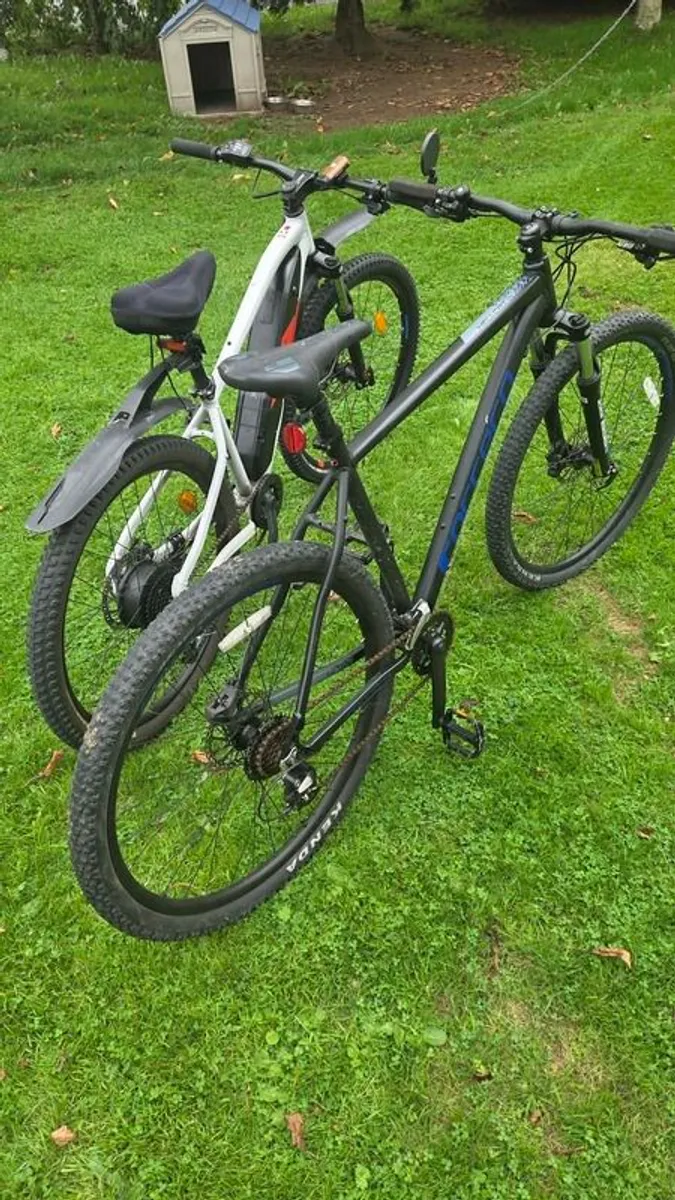 Bike and electric bike - Image 4