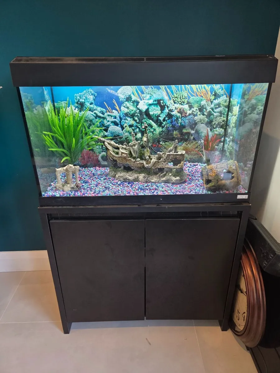 Home - Image 1