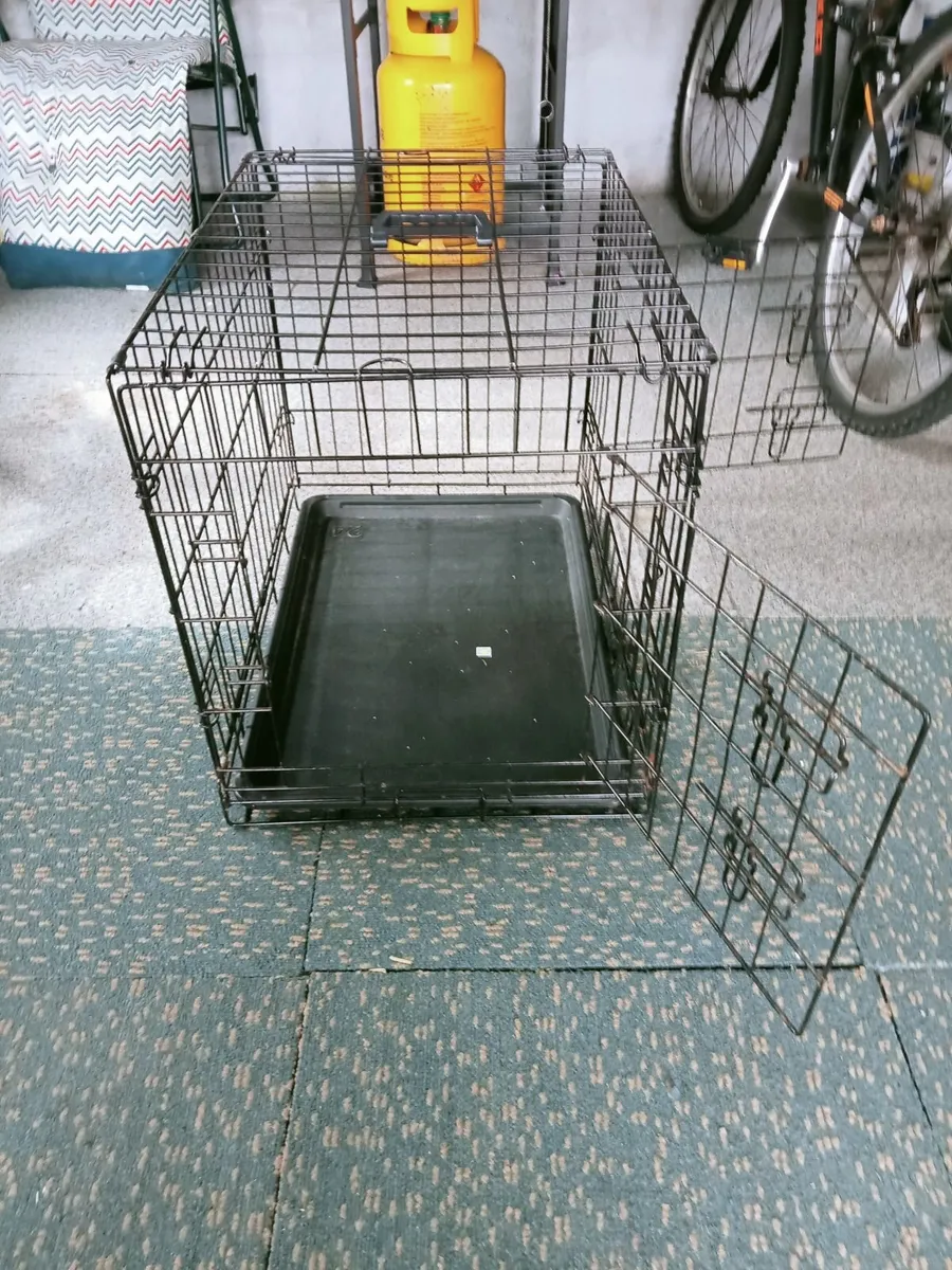 Kennel - Image 3