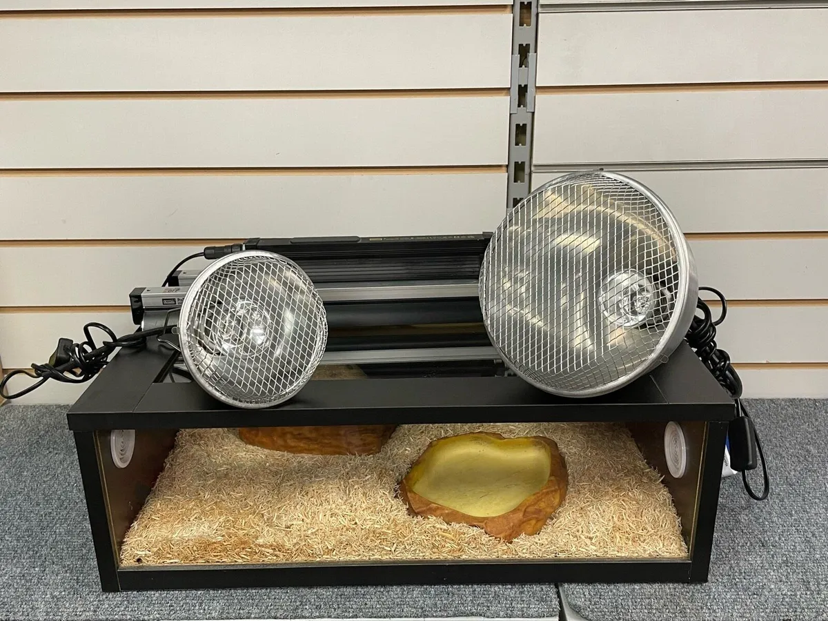 Animal tank + lights - Image 2