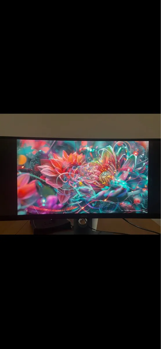 Monitor - Image 1