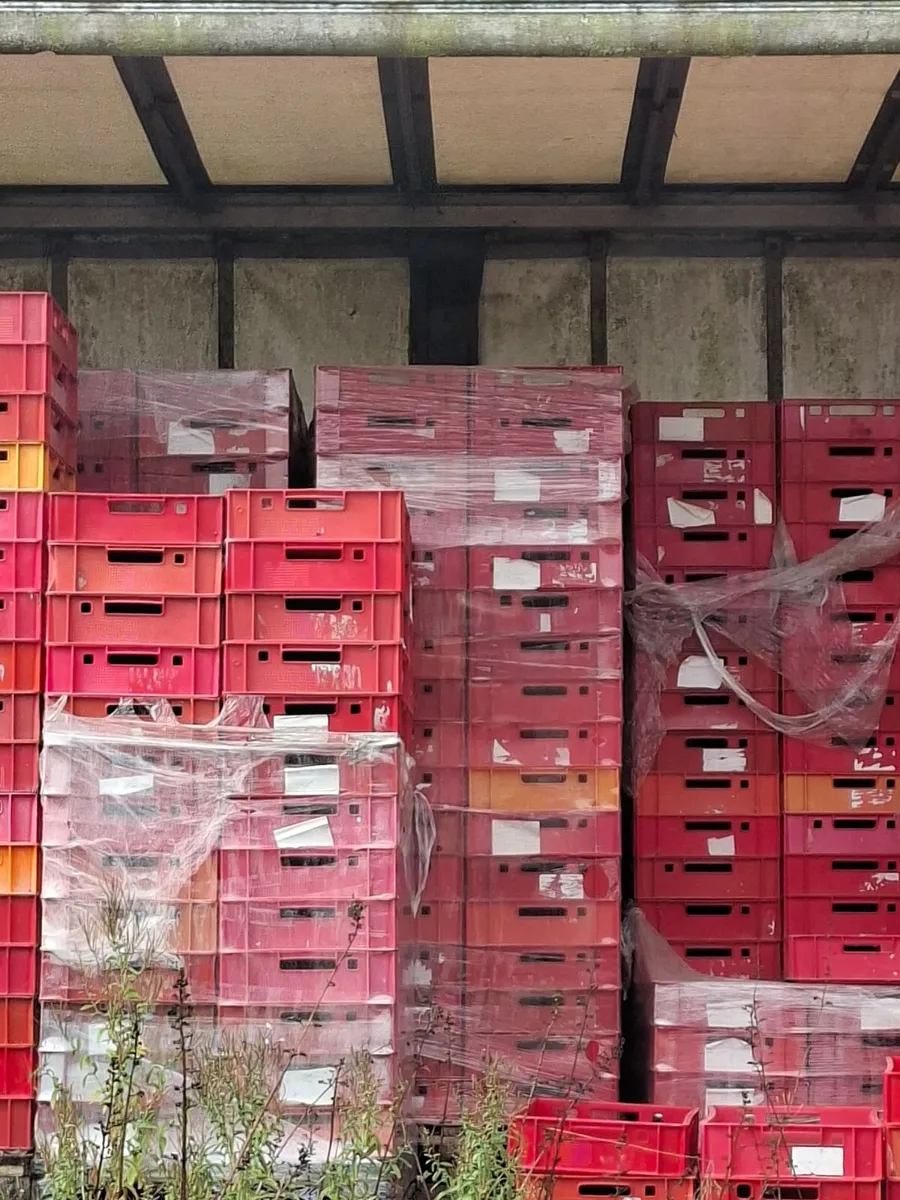 Plastic crates