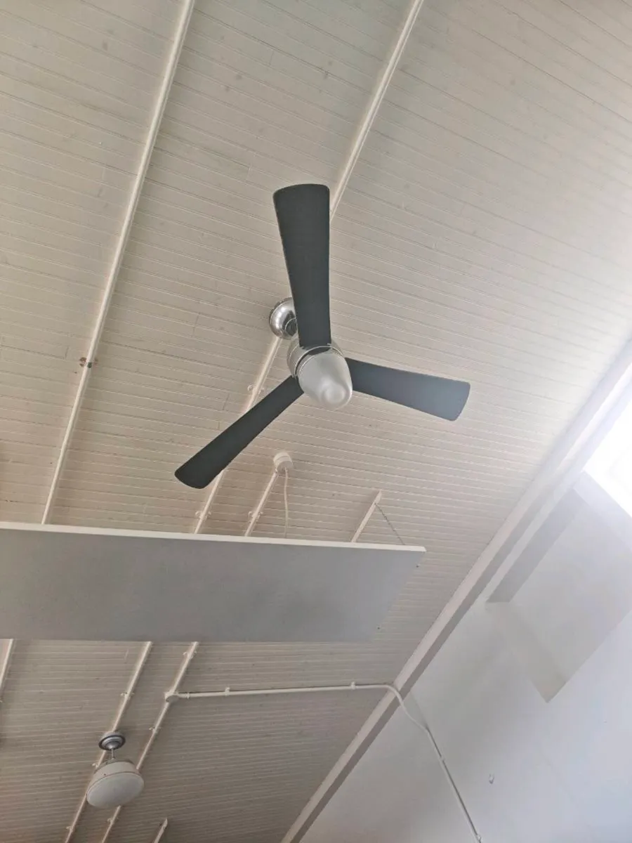 Fan