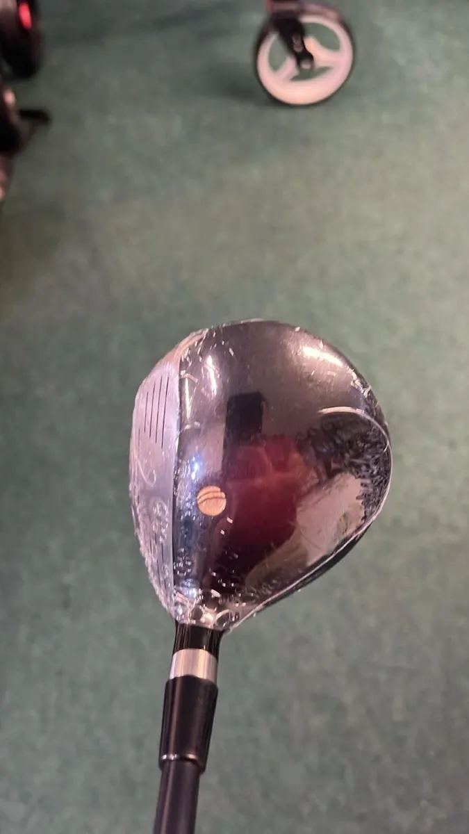 PROELS II 13 WOOD Regular Only €89 - Image 2