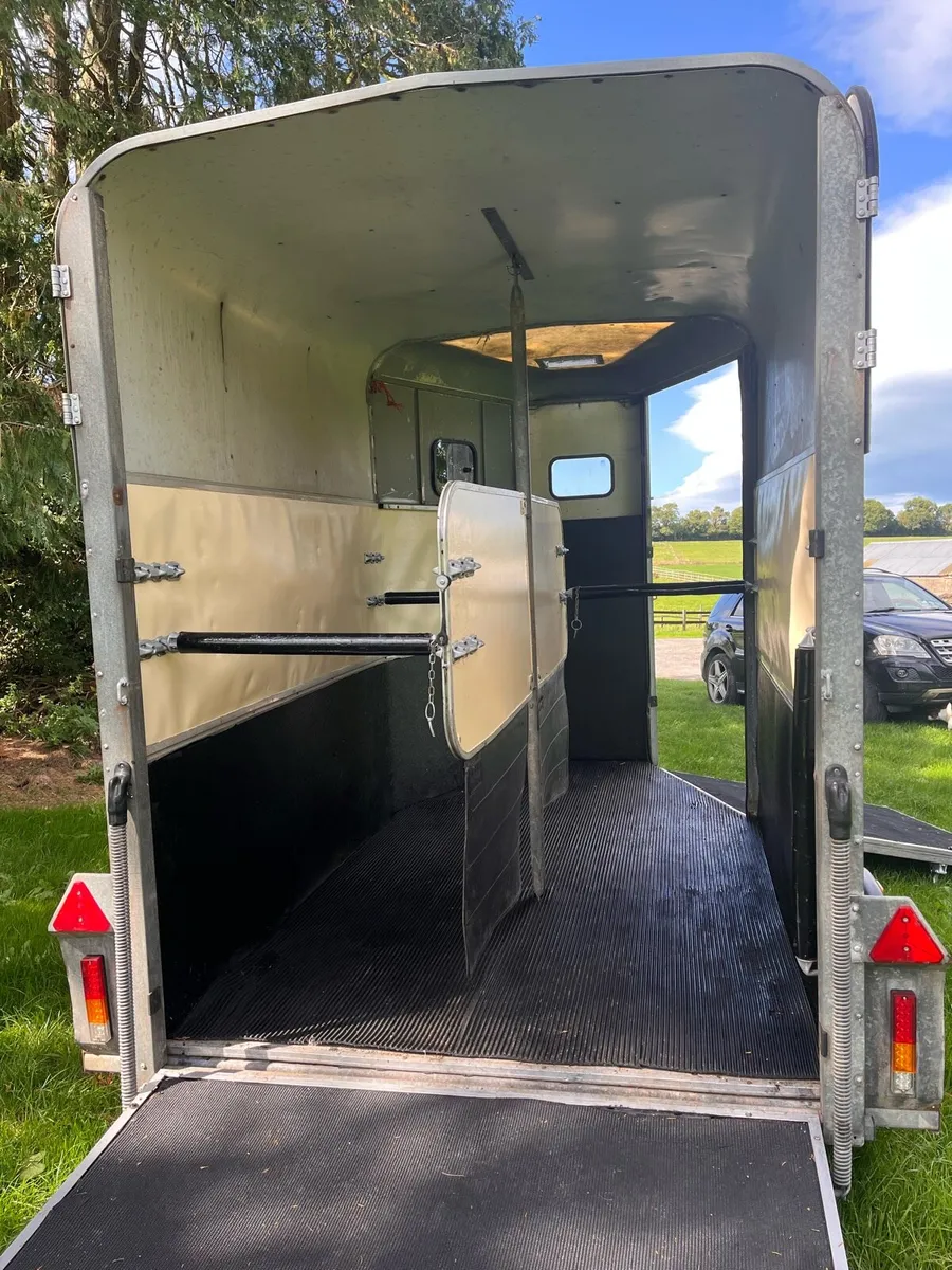Ifor williams Horse box - Image 4