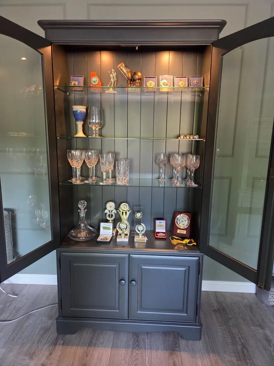Display Cabinet with down lighters - Image 2