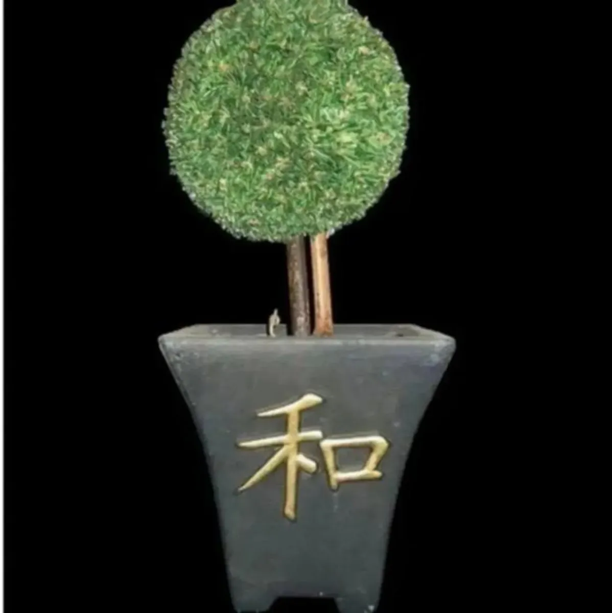 2 X Vintage Topiary Trees & Clay pots - Image 2