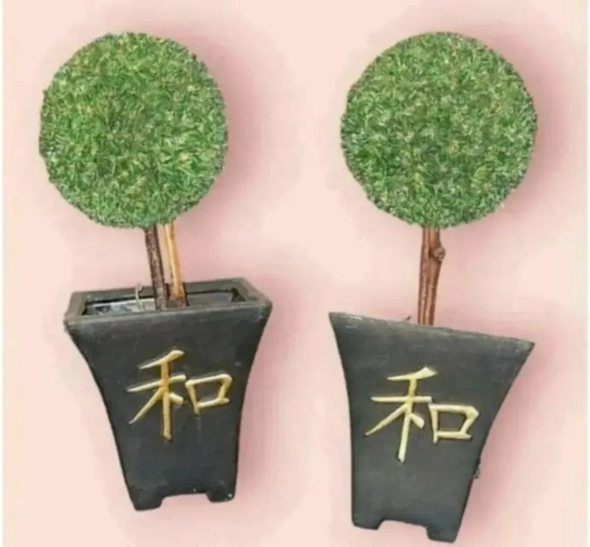 2 X Vintage Topiary Trees & Clay pots - Image 4