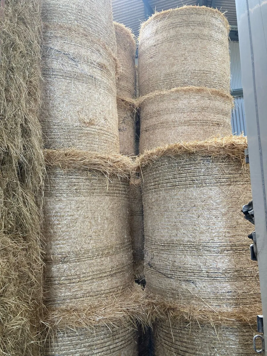 STRAW - Image 2