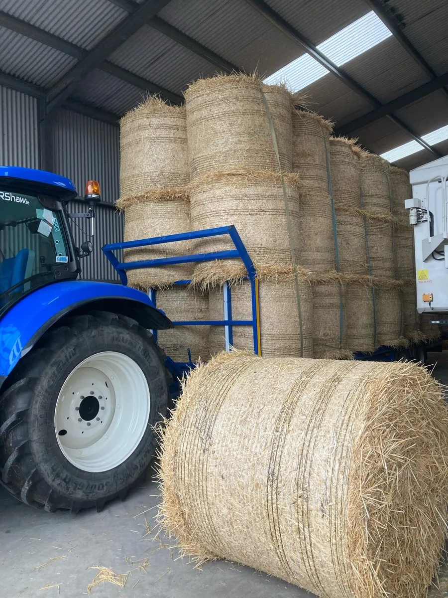 STRAW - Image 3