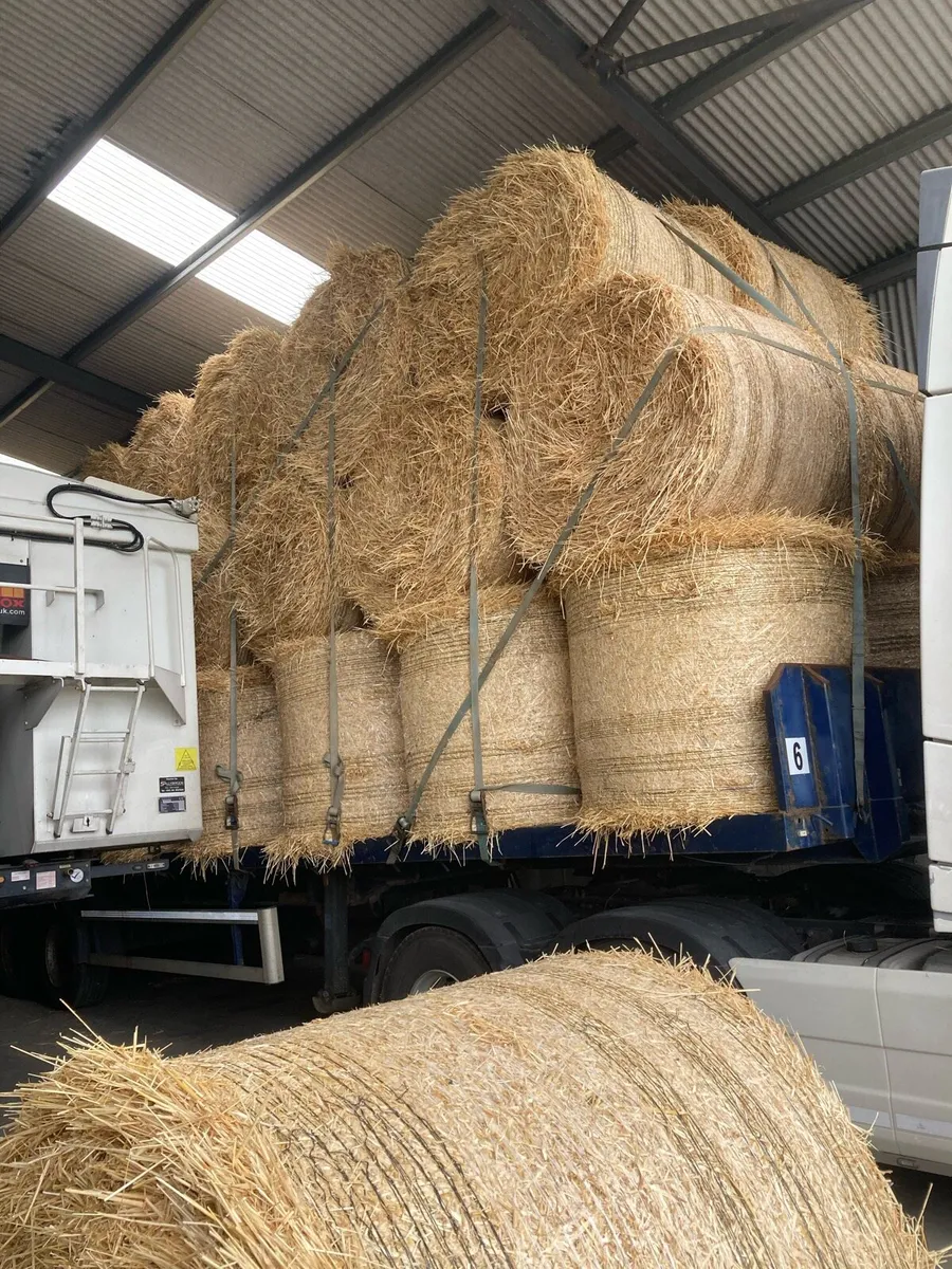 STRAW - Image 1