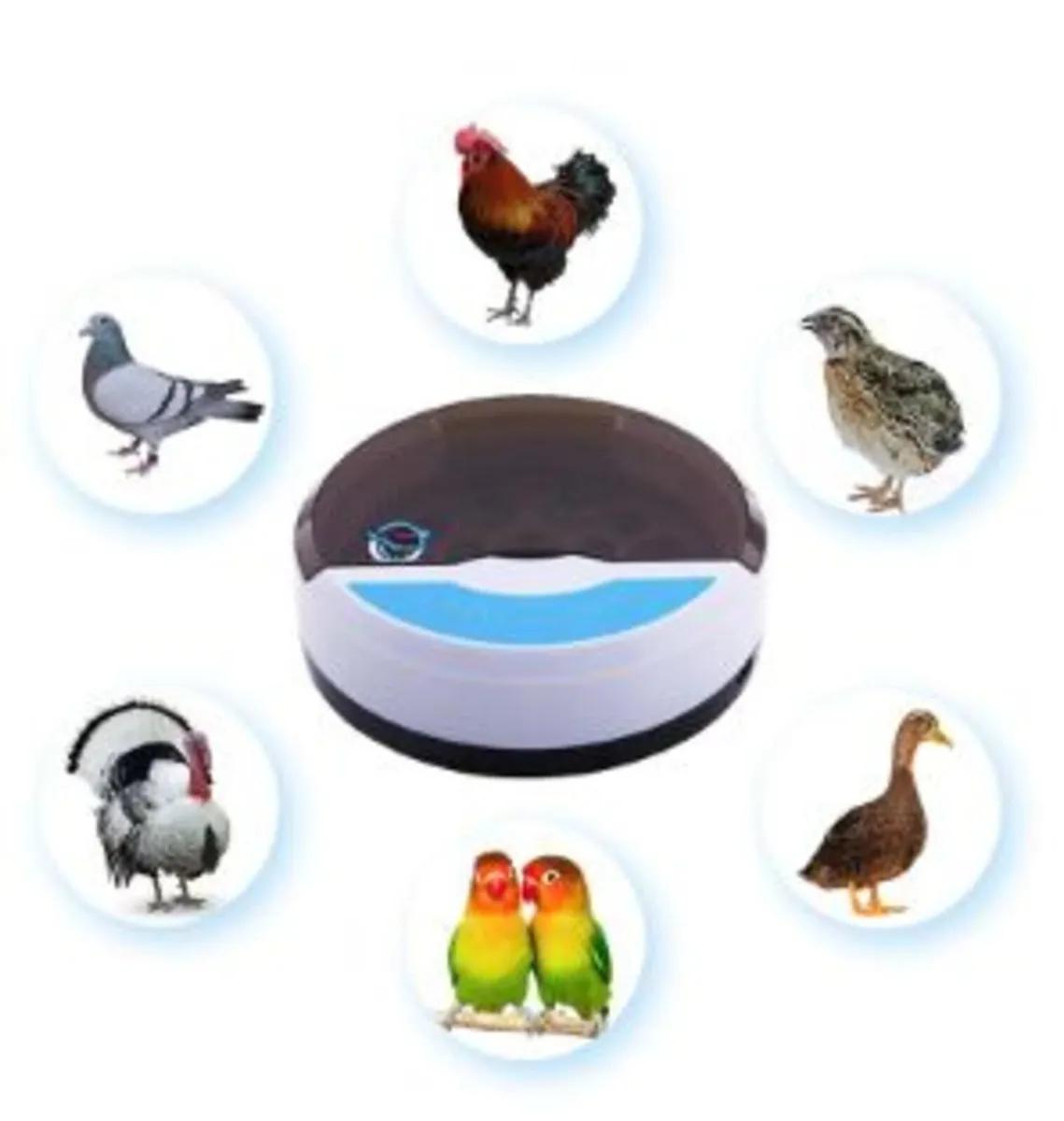 9-Egg Automatic Bird Egg Incubator - Image 1