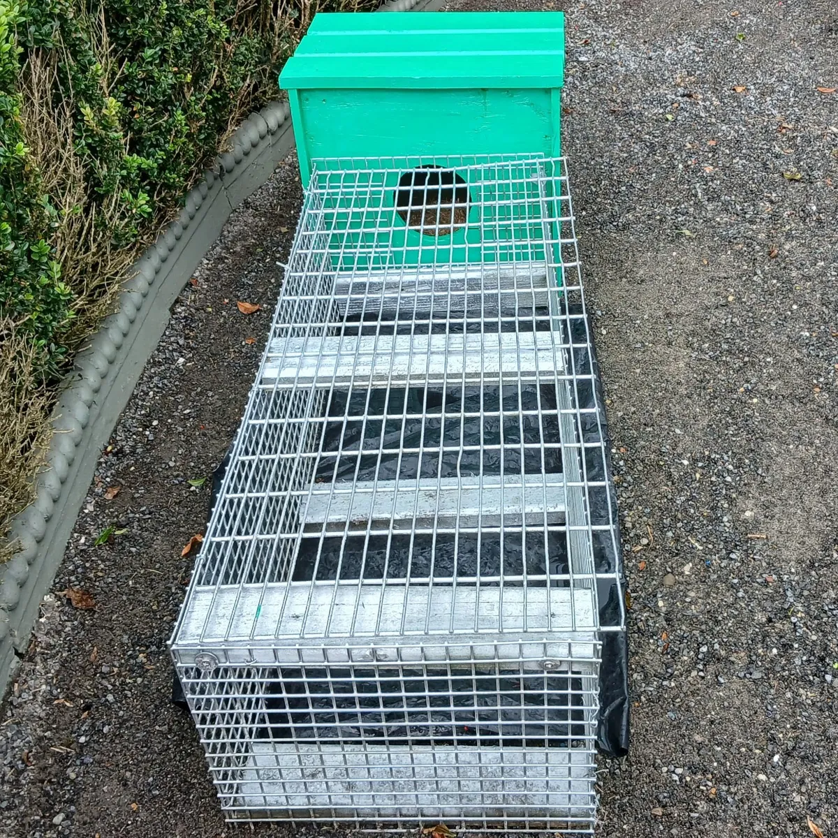 New Rabbit Hut and Run - Image 1