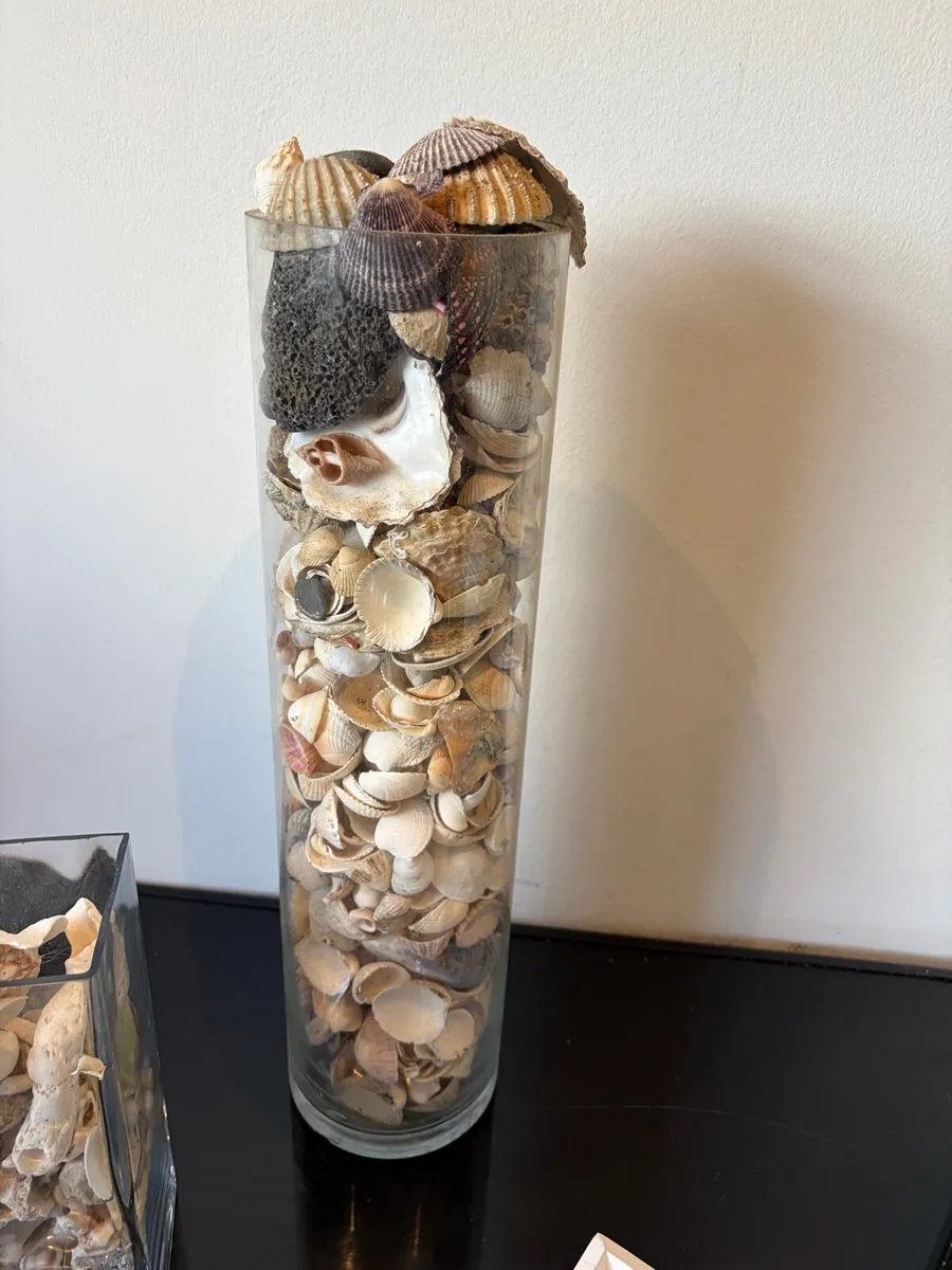 shells and vase decorations bundle - Image 2