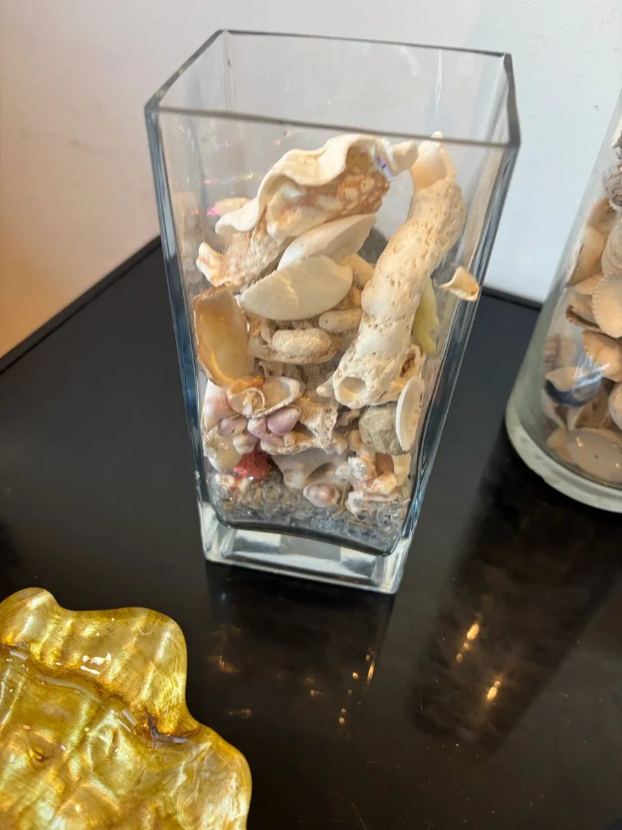 shells and vase decorations bundle - Image 3