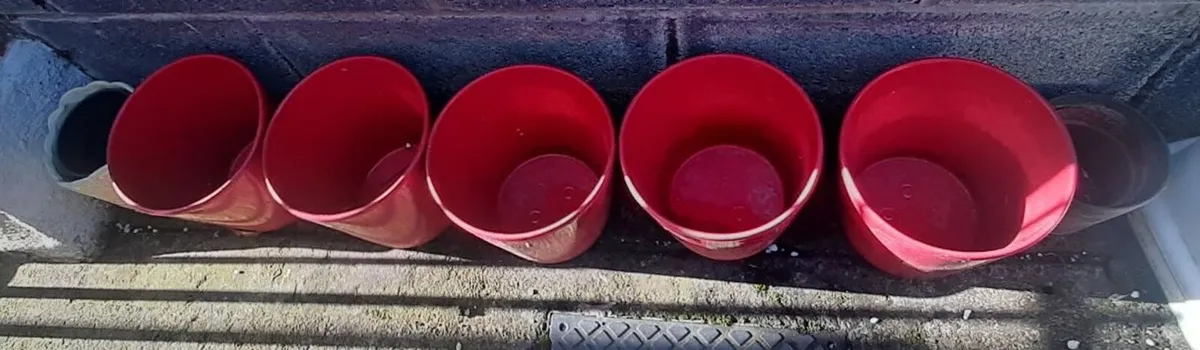Free Plant Pots x 10 approx - Image 3