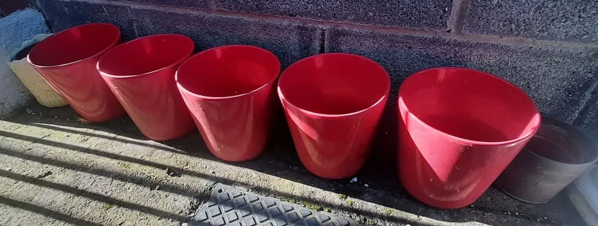 Free Plant Pots x 10 approx - Image 1