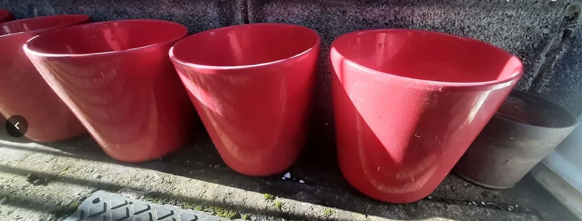 Free Plant Pots x 10 approx - Image 2