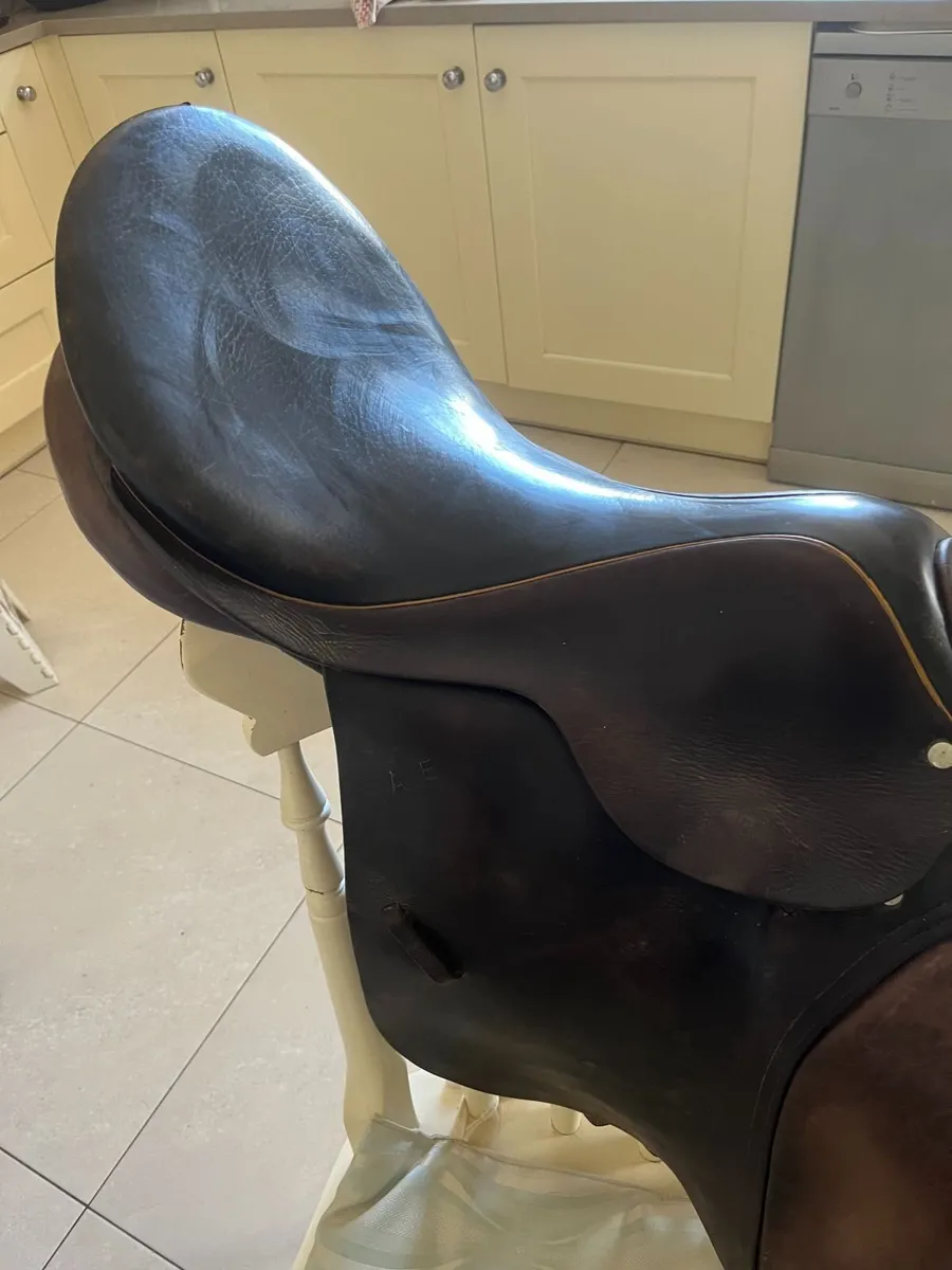 Horse’s  Saddle - Image 1