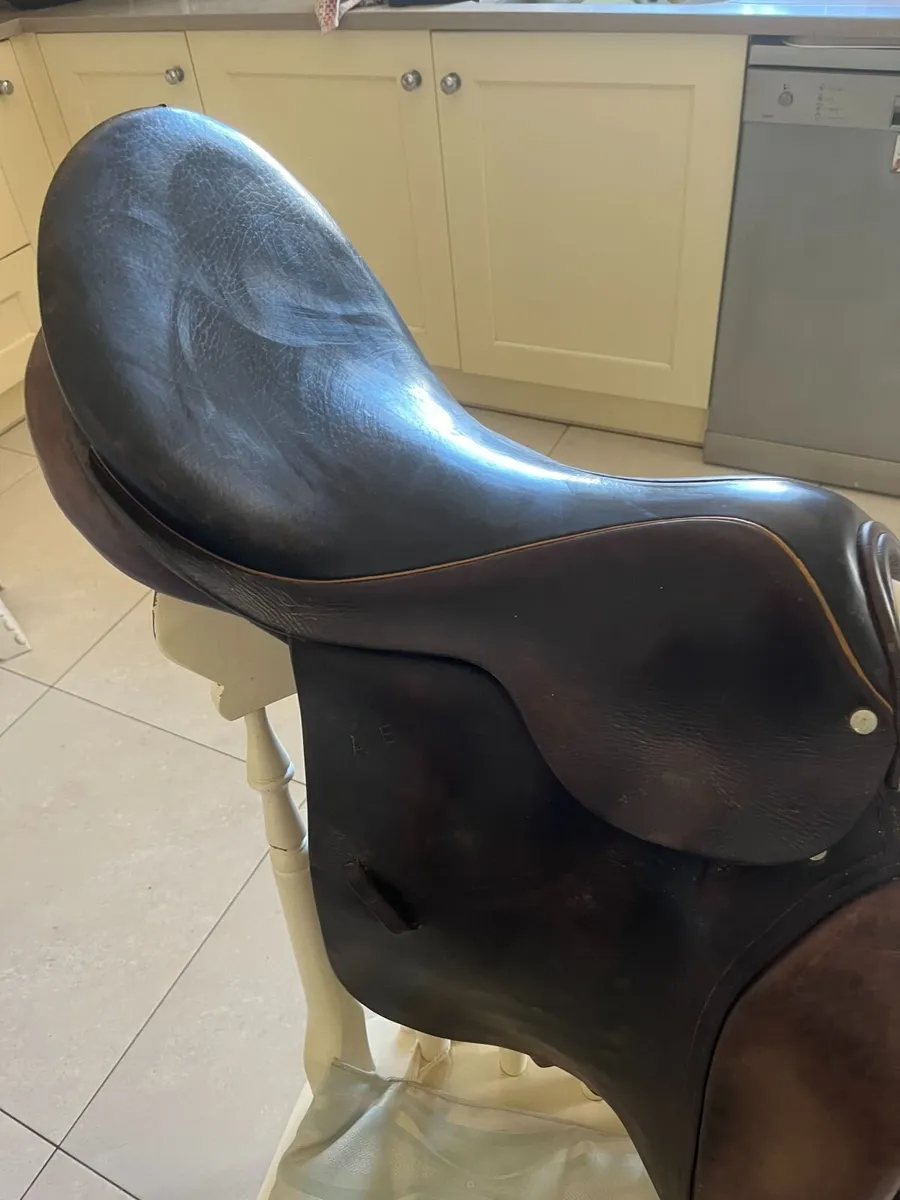 Horse’s  Saddle - Image 2