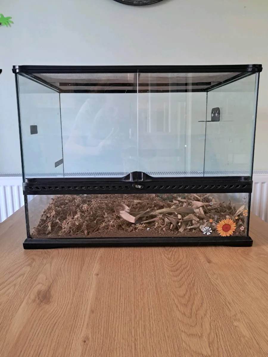 Reptile tank . Exo terra - Image 1