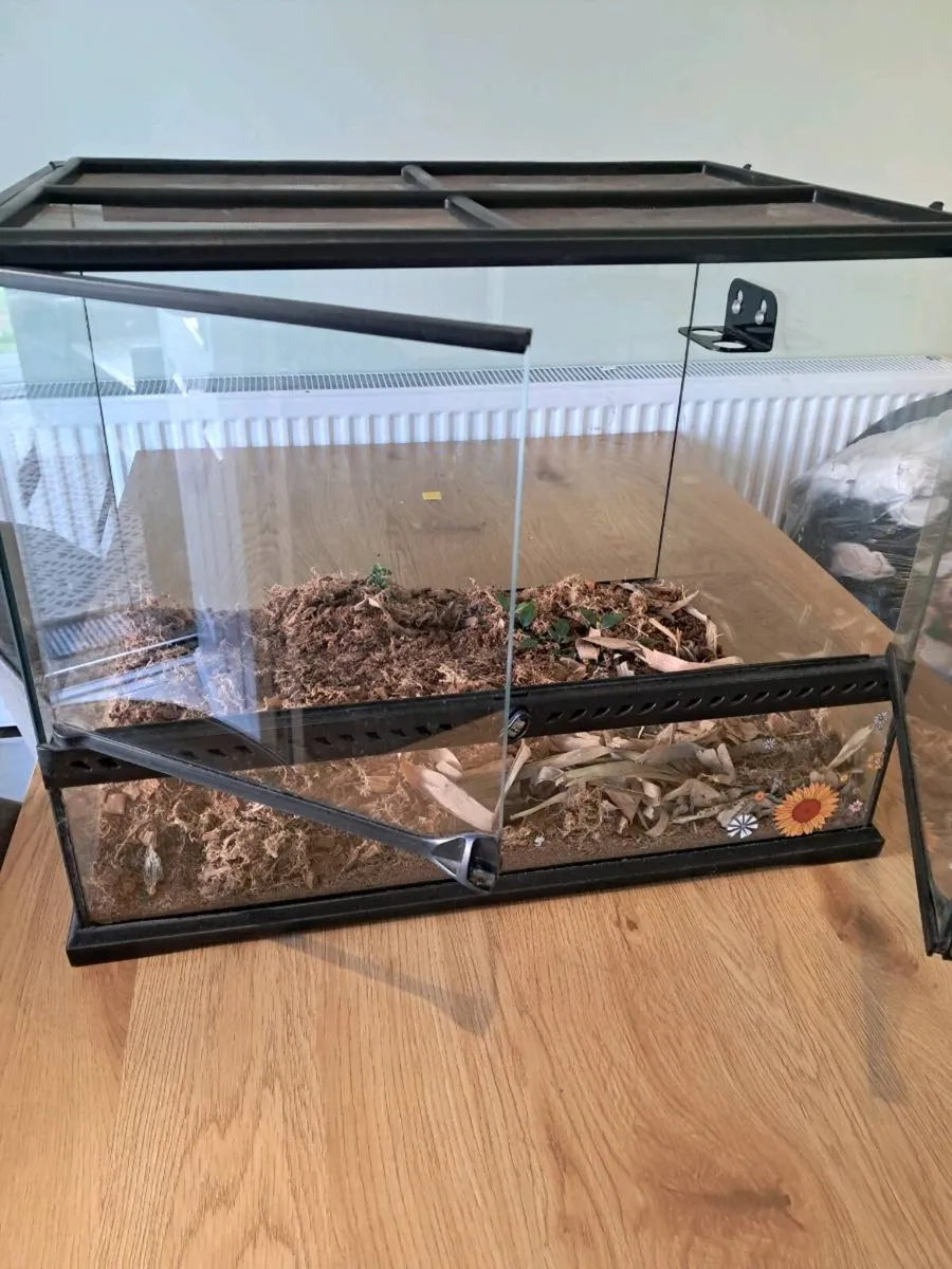 Reptile tank . Exo terra - Image 2