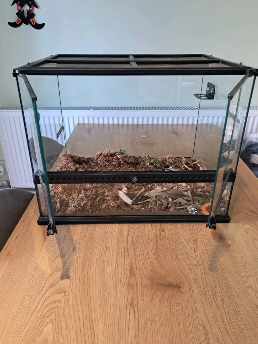 Reptile tank . Exo terra - Image 4