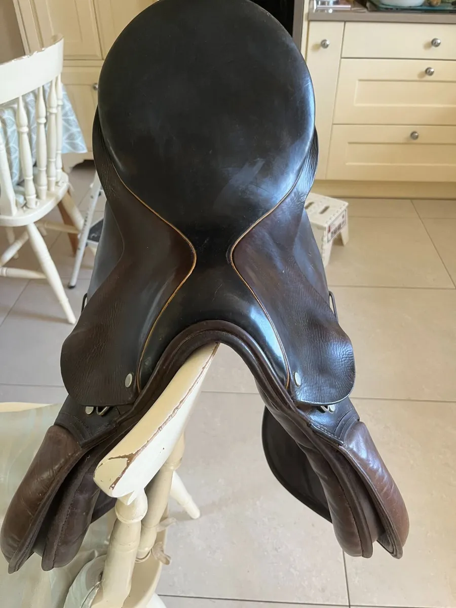 Horse’s  Saddle - Image 4
